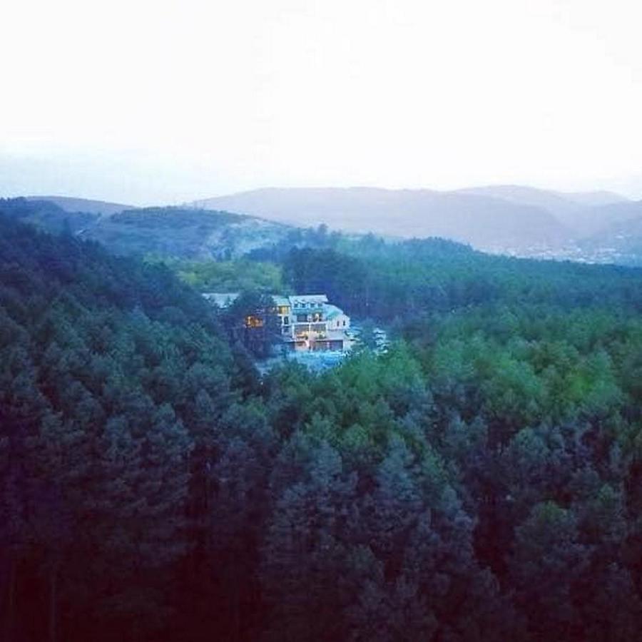 Hotel Surami מראה חיצוני תמונה