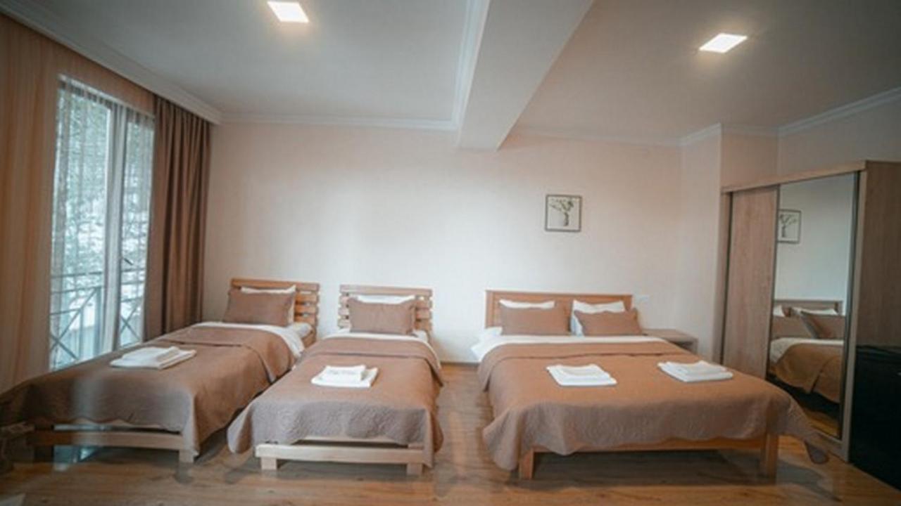Hotel Surami מראה חיצוני תמונה