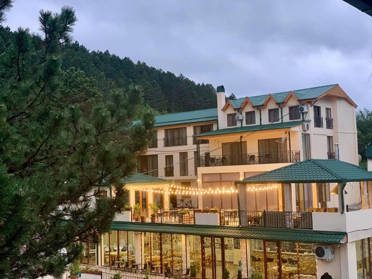 Hotel Surami מראה חיצוני תמונה